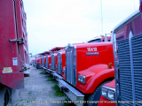 Rauch Trucking fleet photograph 6